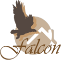 Falcon in Financing